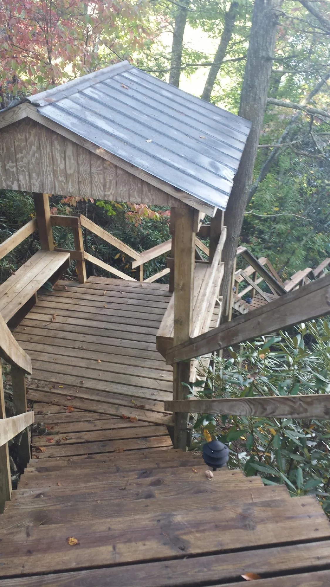 Metal roofed shelter over wooden steps on a wooded walkway — Skylight Repair & Installation work by our crew in Verbena